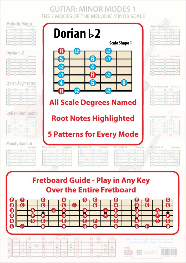The poster faded in the background, the foreground having an enlarged scale shape showing all the scale degrees and the Root notes in a different colour, plus an enlarged Fretboard Guide