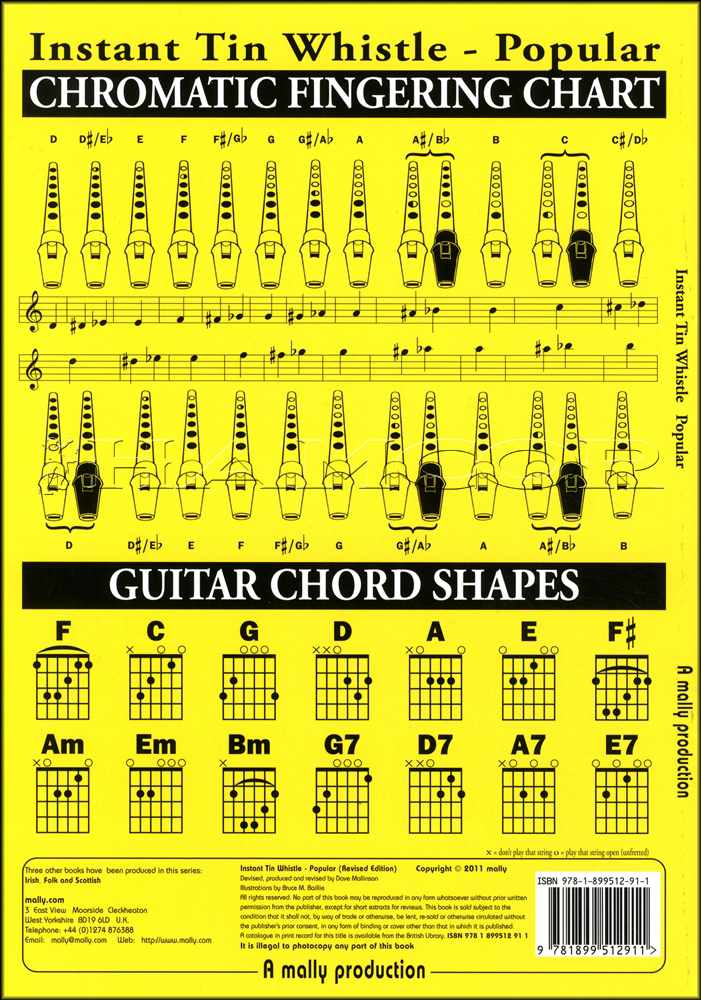 back cover of Instant Tin Whistle Popular Book Only