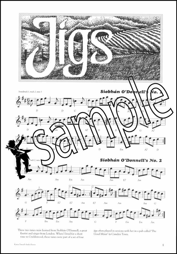 1st sample page from Traditional Irish Music for Accordion