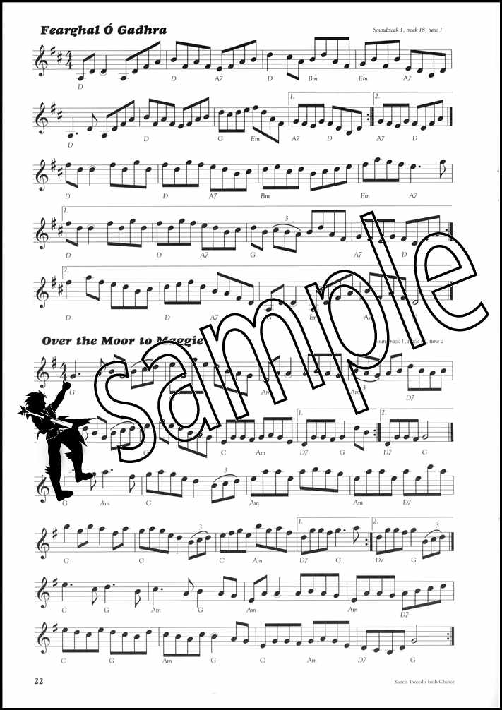 2nd sample page from Traditional Irish Music for Accordion