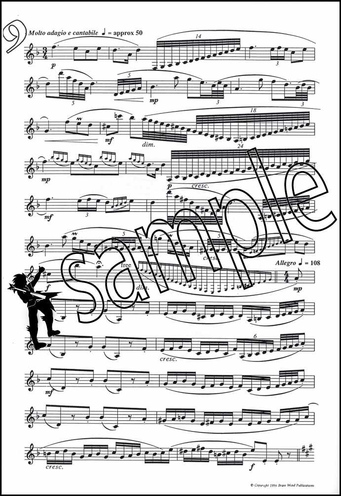 3rd sample page from Fantasy Pieces for Clarinet by Derek Bourgeois