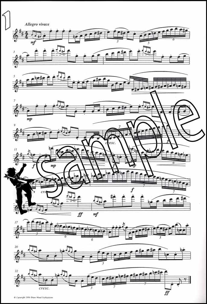 1st sample page from Fantasy Pieces for Flute by Derek Bourgeois