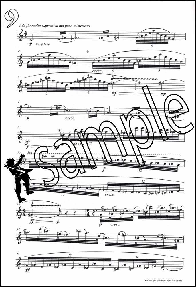 back cover of Fantasy Pieces for Flute by Derek Bourgeois
