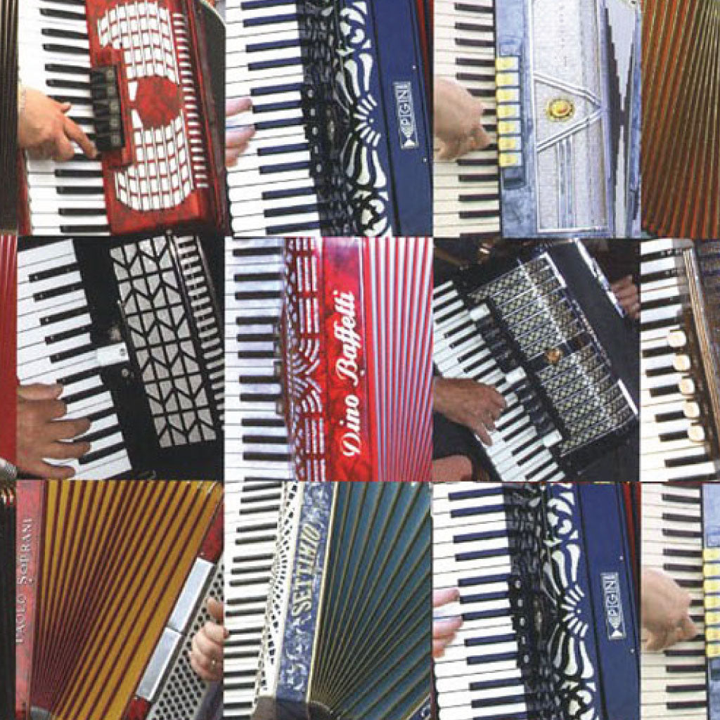 Split into 12 images with each one a cropped image of someone playing the accordion