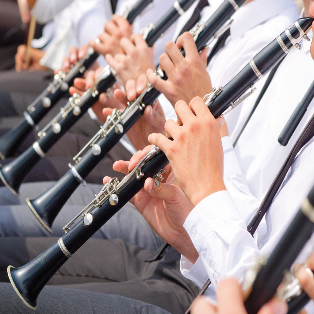 Clarinet section in an orchestra, with at least 5 clarinettists