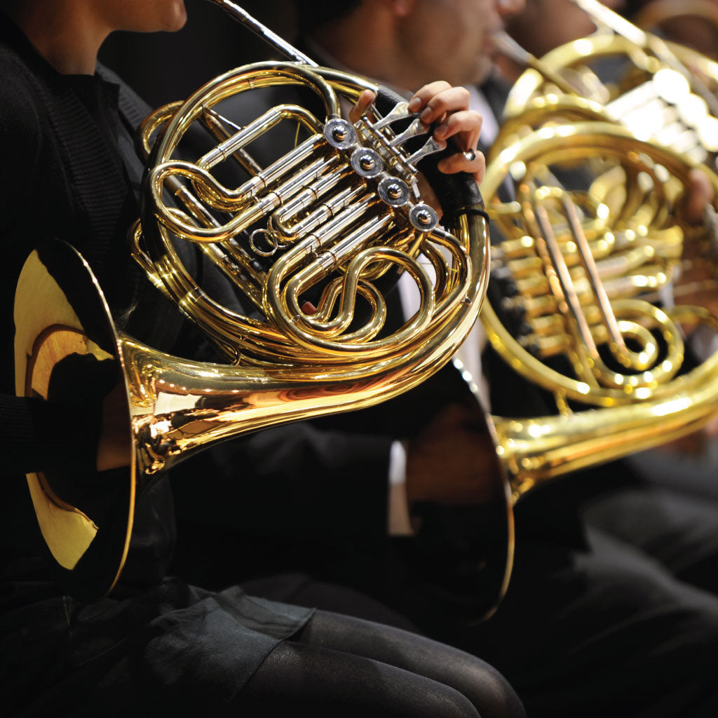 French Horn section of an orchestra