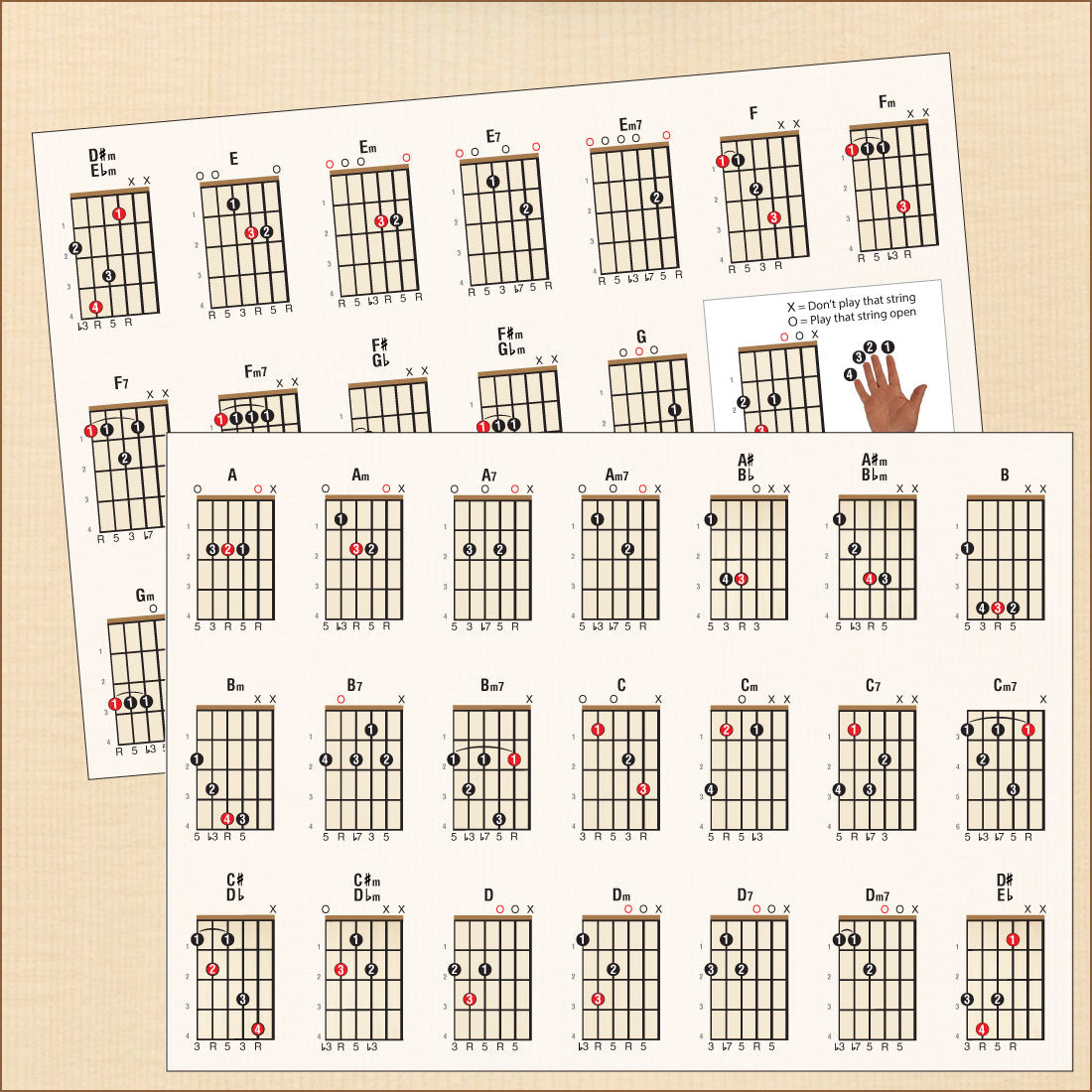 Left Hand Guitar Chord Chart Compact A5 Edition – We Sell Music Books