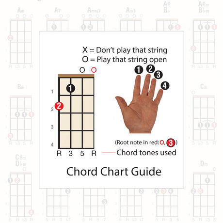 Chord chart fingering guide, showing a chord and a hand with the fingers numbered