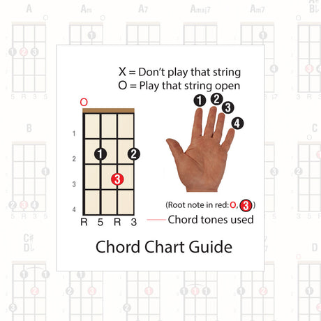 The chord chart guide, showing finger the fretting hand, with fingers numbered
