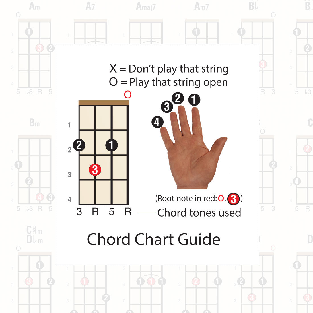 The chord chart guide, showing finger the fretting hand, with fingers numbered
