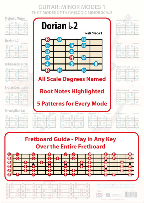 The poster faded in the background, the foreground having an enlarged scale shape showing all the scale degrees and the Root notes in a different colour, plus an enlarged Fretboard Guide