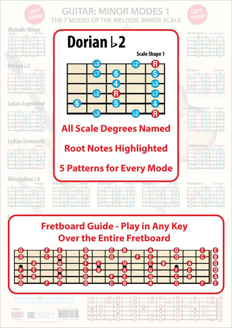 The poster faded in the background, the foreground having an enlarged scale shape showing all the scale degrees and the Root notes in a different colour, plus an enlarged Fretboard Guide