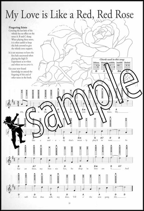 3rd sample page from Instant Tin Whistle Popular Book Only