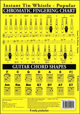 back cover of Instant Tin Whistle Popular Book Only