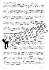 2nd sample page from Traditional Irish Music for Accordion