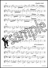 1st sample page from 100 Irish Polkas Music Book