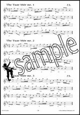 3rd sample page from 100 Irish Polkas Music Book