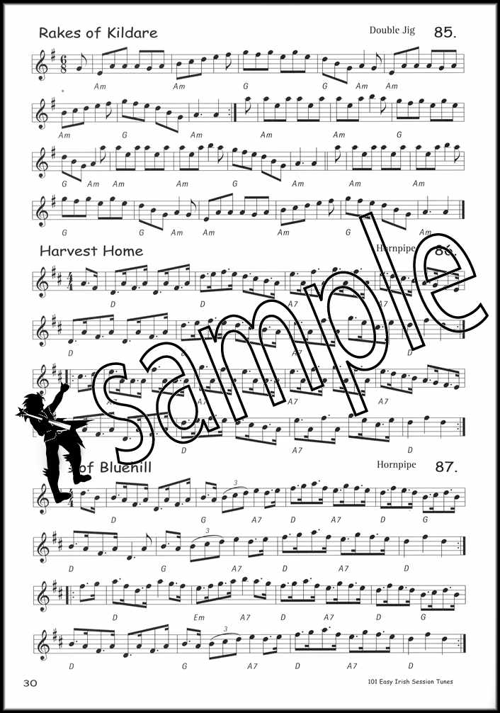 3rd sample page from 101 Easy Irish Session Tunes Music Book