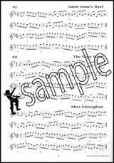 2nd sample page from 100 Essential Irish Session Tunes Music Book