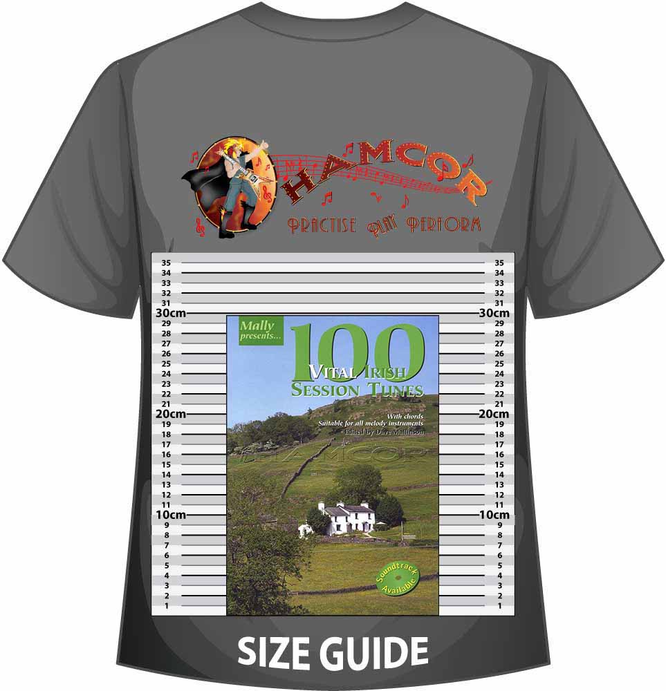 front cover of 100 Vital Irish Session Tunes Music Book on a size guide