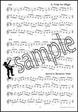 2nd sample page from 100 Popular Irish Session Tunes Music Book