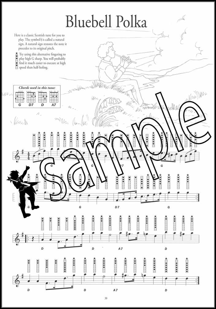 3rd sample page from Instant Tin Whistle Popular Book/CD