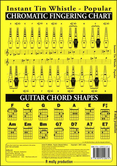 back cover of Instant Tin Whistle Popular Book/CD