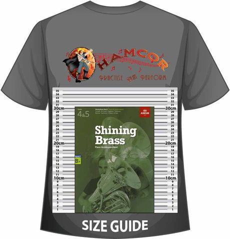 front cover of ABRSM Shining Brass Book 2 Bb Piano Accompaniment on a size guide