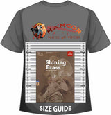 front cover of ABRSM Shining Brass Book 2 F Piano Accompaniment on a size guide