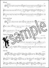 3rd sample page from Easy Winners for Descant Recorder Book/CD