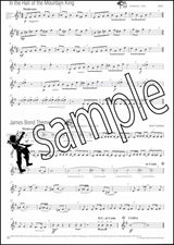 back cover of Easy Winners for Descant Recorder Book/CD