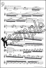 back cover of Fantasy Pieces for Flute by Derek Bourgeois