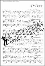 2nd sample page from Matt Cunningham's Dance Music of Ireland