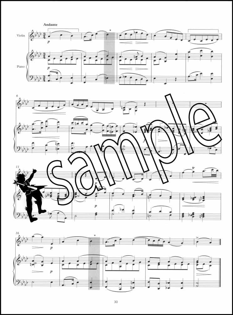 3rd sample page from ABRSM Music Theory Practice Papers 2022 Grade 7