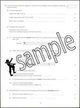 3rd sample page from ABRSM Music Theory Practice Papers 2024 Grade 7